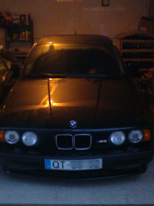 M5 profile