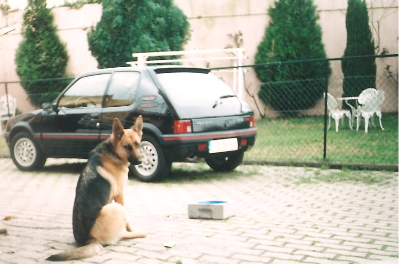 Foto tirada pouco antes de vender o Bolinhas!